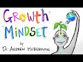 How Feedback Affects Performance Andrew Huberman Growth Mindset