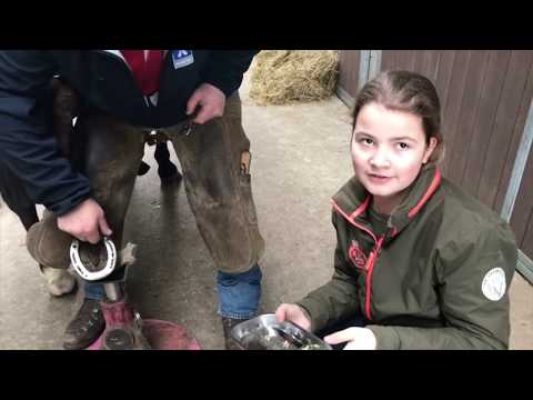 , title : 'Vlog Renske: Verschillende soorten kalkoenen'