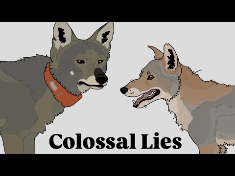 Colossal Lies about Red Wolves