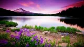 LO QUE NO ME GUSTA DE TI (jorge celedon)