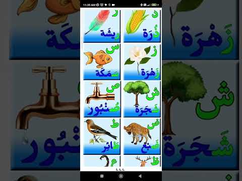 Learn Arabic Phonics & Visuals