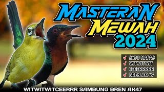 Download lagu MASTERAN TERBARU 2024 - KOLIBRI WULUNG MEWAH UNTUK PLECI GACOR NEMBAK WITWITCER SAMBUNG BREN AK47 mp3 Download lagu MASTERAN TERBARU 2024 - KOLIBRI WULUNG MEWAH UNTUK PLECI GACOR NEMBAK WITWITCER SAMBUNG BREN AK47 mp3