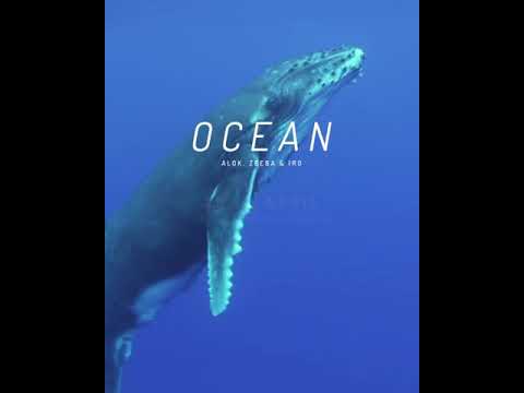 Ocean - Alok, Zeeba & Iro - (Preview)