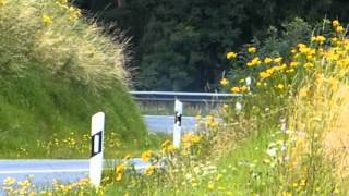 preview picture of video '41. ADAC Rallye Oberehe 2012 WP 1 Kylltal-Special Teil I'