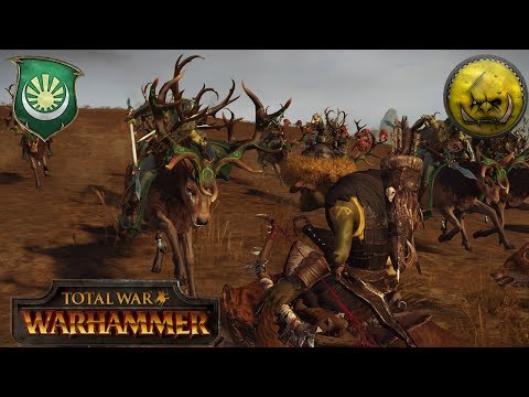 Kiting Wood Elves vs. Savage Greenskins WAAAGH! - Total War Warhammer Multiplayer Battle