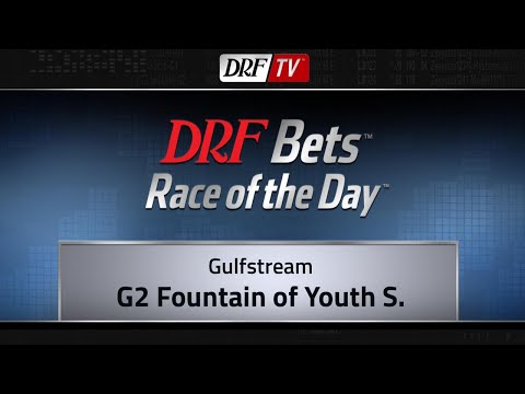 Saturday Race of the Day - Fountain of Youth Stakes 2018