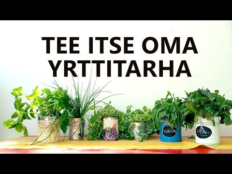 , title : 'TEE ITSE OMA YRTTITARHA'