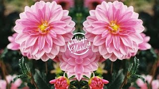 Flume - Insane (feat. Moon Holiday)