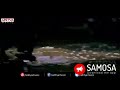 Stalin Entry Bgm By Manisharma Manisharma Chiranjeevi