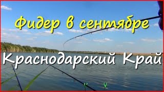 Ссылка