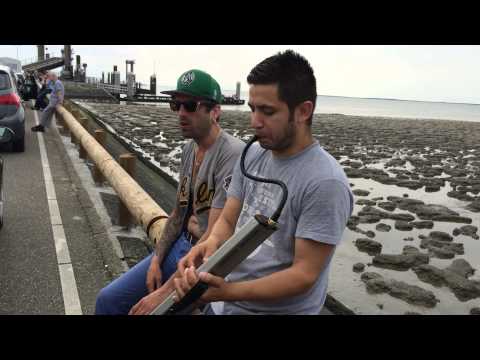 Gipsyska - Like a lion - Acoustic Jam