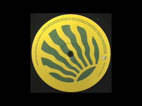 Rio Dawn - The Mavenalli Project | Toko Records [2001]