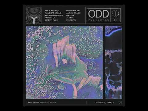Alex Aguayo - Erase Your Memory [ODD Pleasures]