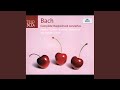 J.S. Bach: Concerto for Harpsichord, 2 Recorders, Strings & Continuo No. 6 in F Major, BWV 1057...