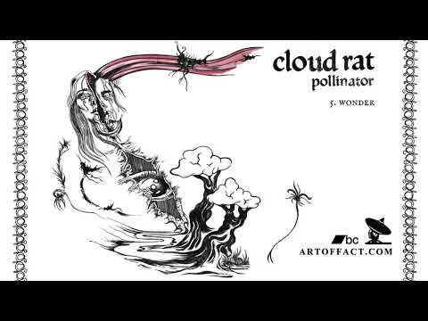 CLOUD RAT: Wonder #Pollinator #Artoffact