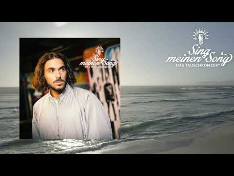 Video thumbnail for Error (aus ”Sing meinen Song, Vol. 12")