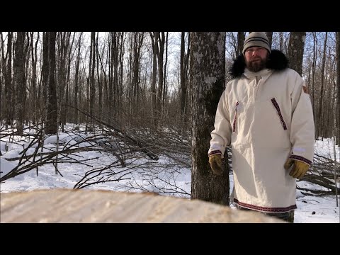 #104 How to Safely Feed Deer in the Winter While Improving Wildlife Habitat