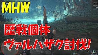 【MHW】歴戦個体のヴァルハザク討伐!!ランスソロプレイ 【モンハンワールド】