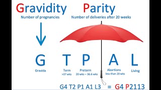 Gravidity, Parity, and GTPAL