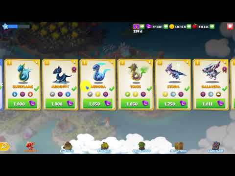 #DML Divine Element - How is it working ?