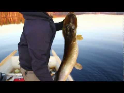 Team Hajmat på nya äventyr - Gäddfiske i Hälsingland