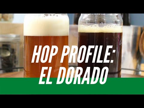 Experimenting with El Dorado Hops | SMASH-ish Beers | Comparing 2 Extract Brews Using El Dorado Hops