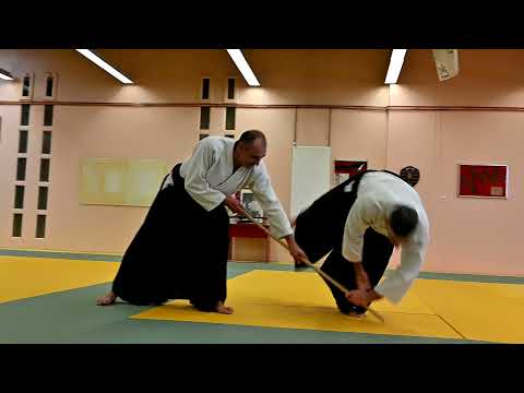 Aïkido : Fabrice Cast Stage de Ligue au Vaudreuil (16 10 21 2ème partie)