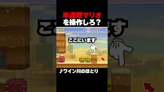 透明マリオ！？影だけを見てゴールしろ！ マリオメーカー2