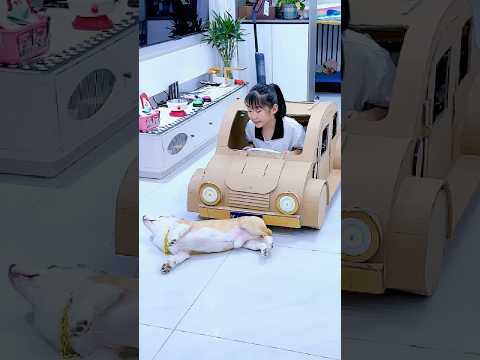 Ecco cosa fa il cane dopo aver investito qualcuno con l'auto