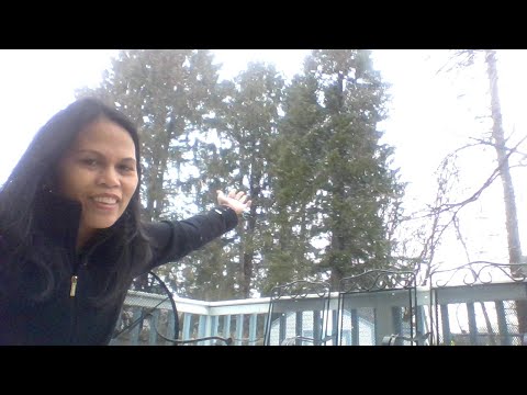 Snow Storm right now Live here in New York