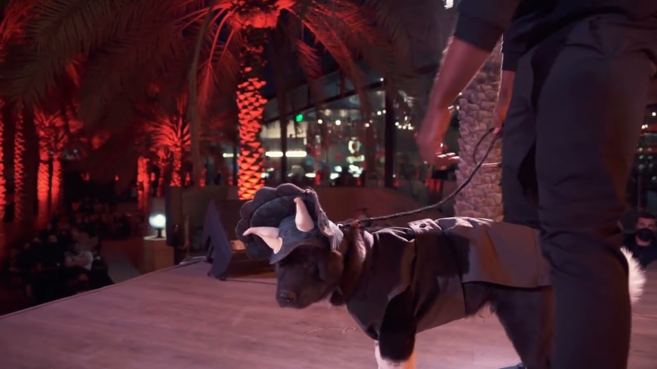 Celebrating Love at The Groves Chapter I