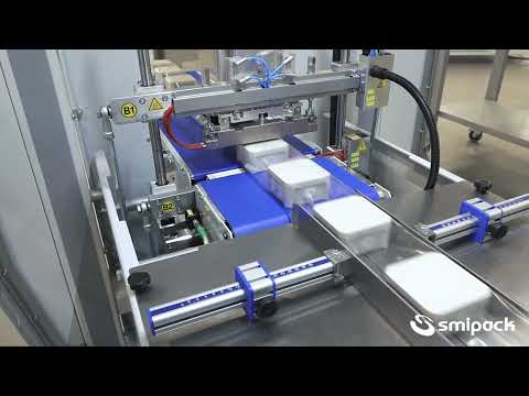 Горизонтальный упаковщик Flow pack (флоу пак) FW550S Smipack - фото 1 - id-p1822868684