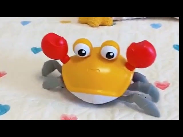 لعبة السلطعون الكهربائية-اختر لون المنتج اولاً (خا...