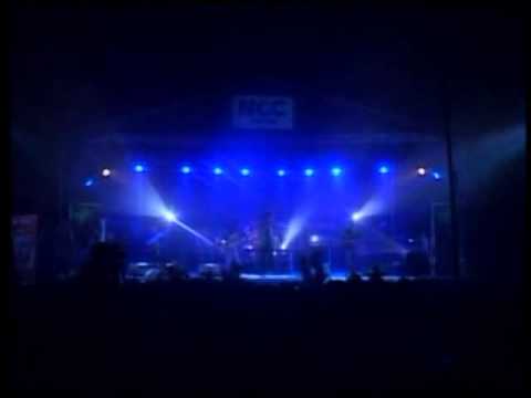 New Divide Cover The Scavenger Project