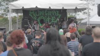 MUNICIPAL WASTE Full Set Live