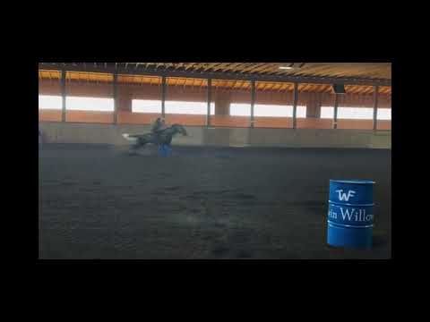 Twin Willows Farm  video thumbnail