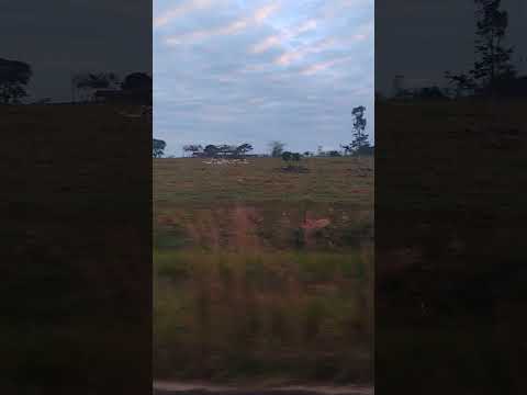 Pelas estradas de Mato Grosso, próximo a Nova Bandeirantes.