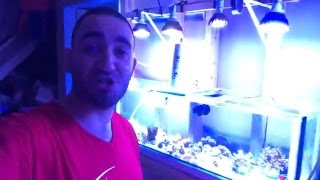 Start off 2016 reefing with a BANG part 1