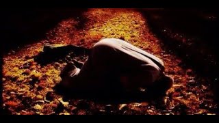 Abdulrahman Mossad || Surah As-Sajdah || English Translation