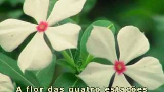 Download lagu Kamen Rider Black - Long Long Ago 20th Century (legenda - tradução pt-br) - 仮面ライダーBLACK mp3