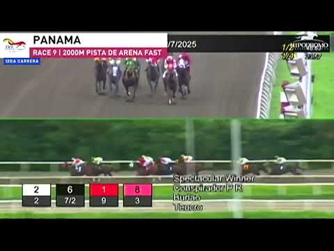 CONFRATERNITY CUP RACE 12 - 7/DECEMBER/2025 (SPECTACULAR WINNER)