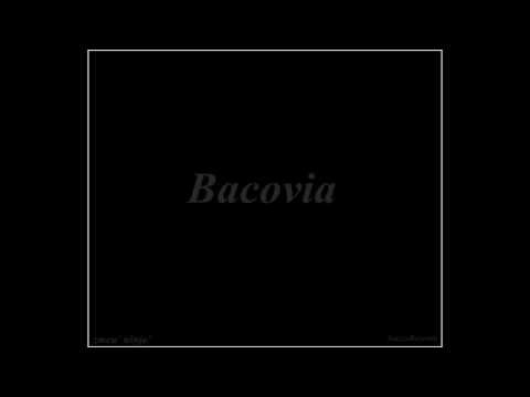 02 zmeu' ninja' - rap ( Bacovia )