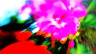 Cover art for Rain Jacket and Shorts