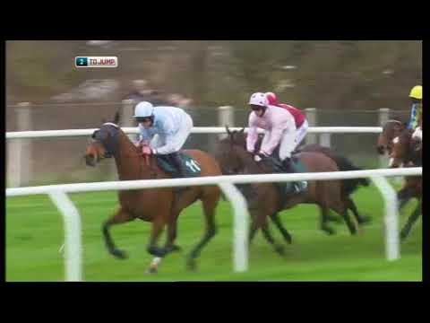 2012 Vincent O'Brien County Handicap Hurdle - Cheltenham Festival