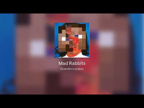 Insane Minecraft Parody: Quentin Lovejoy's Mad Rabbit
