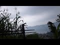 pokhara dawn chorus and monsoon downpour