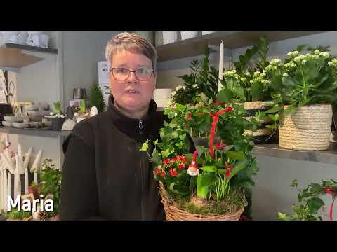 Blomsterboden julgrupper