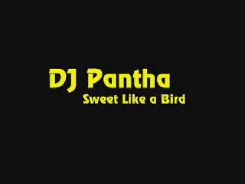 DJ Pantha - Sweet Like a Bird