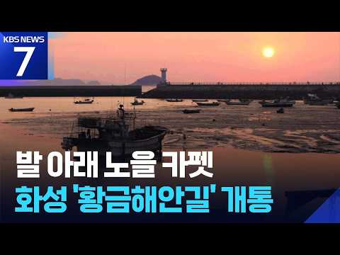 발 밑에 노을 카펫…화성 ‘황금해안길’ 개통 / KBS 2026.06.29.
