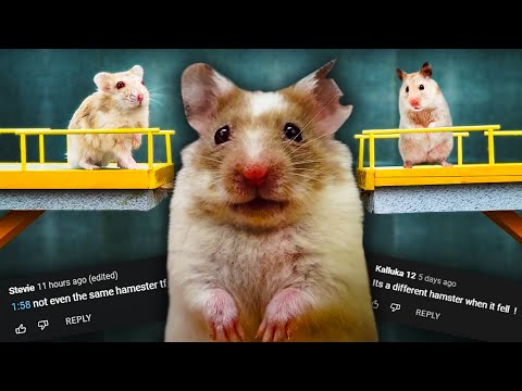 Squid Game hamster channels mistreat animals for videos